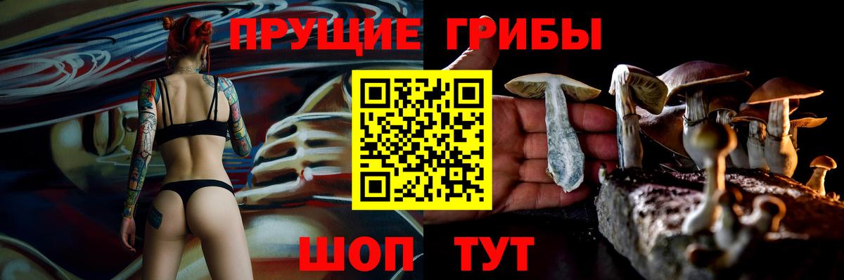 Галлюциногенные грибы прущие грибы  Вход с VPN  Галлюциногенные грибы GOLDEN TEACHER  Ревда 